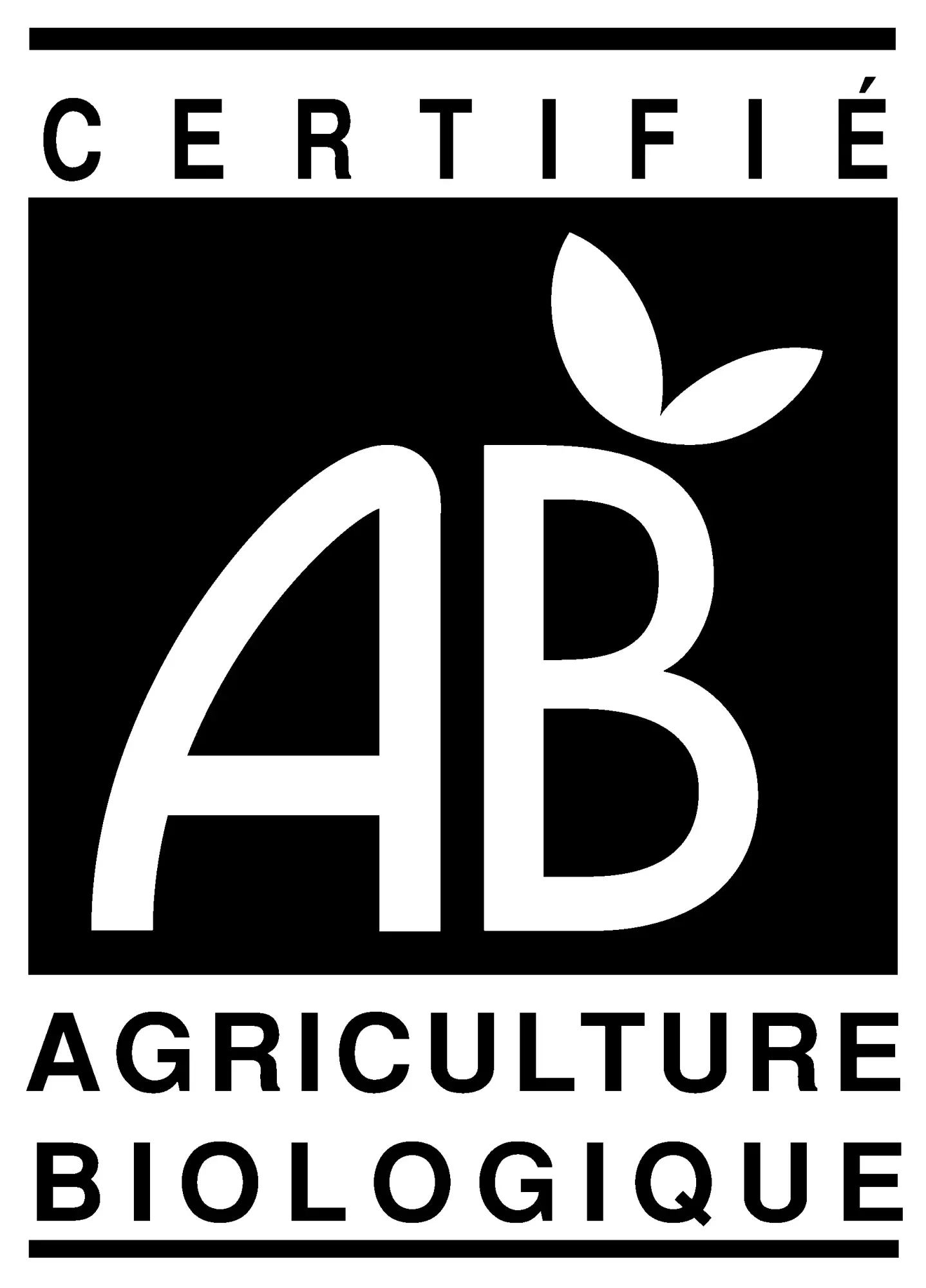 AB